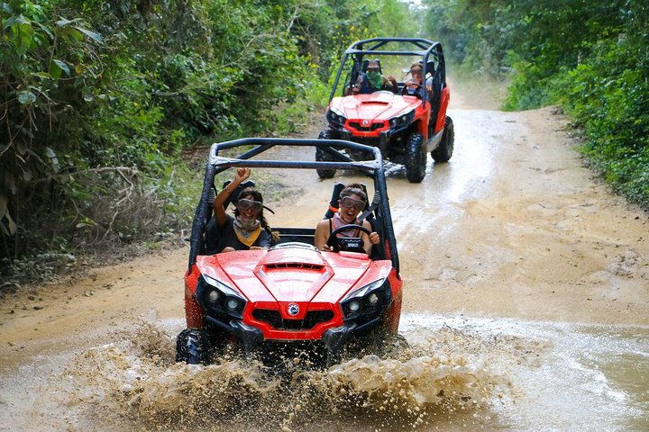 Jungle & Rivers Buggy Exploration with Crocodile Safari Boat Tour. Shore Excursion from Puntarenas
